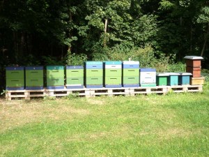 Bienenstöcke im Mai